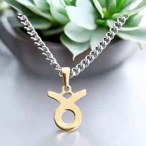 🆕 Taurus Zodiac Sign Pendant Necklace Stainless Steel